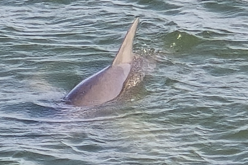 2026-04-22-D Charleston 20260422_165135_ji.jpg